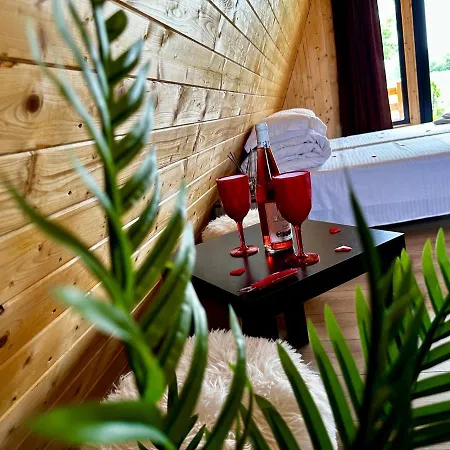 A-frame Bucovina- Paradis Bucovinean Holiday home